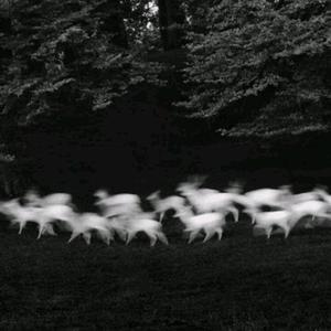 国色天香一卡2卡三卡4卡在线
